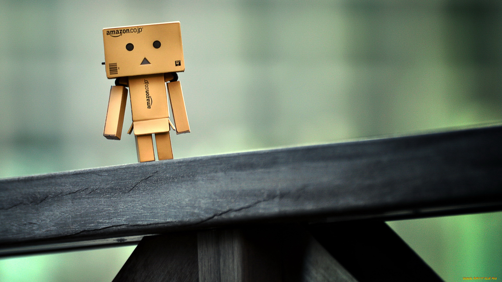 , , danboard